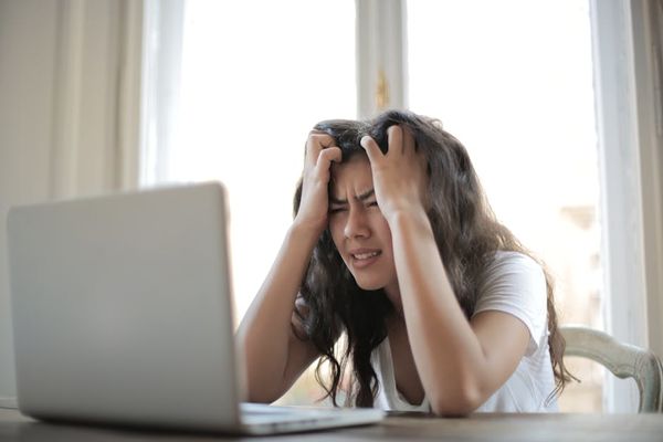  המדריך המקצועי להבנת רעידות הכלבים