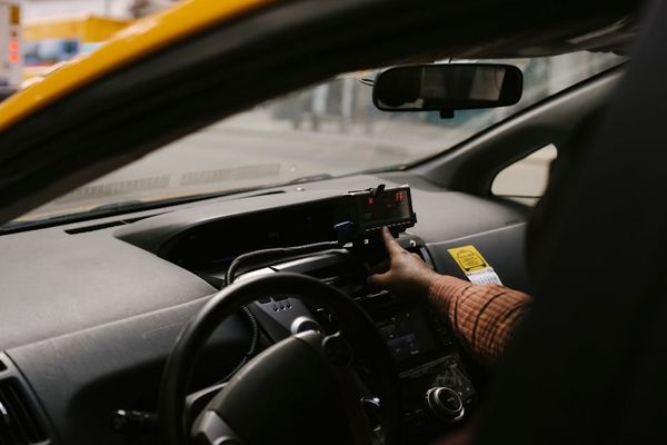 המאסטר לחתולים: מהדריך המקצועי להכרת עולם החתולים