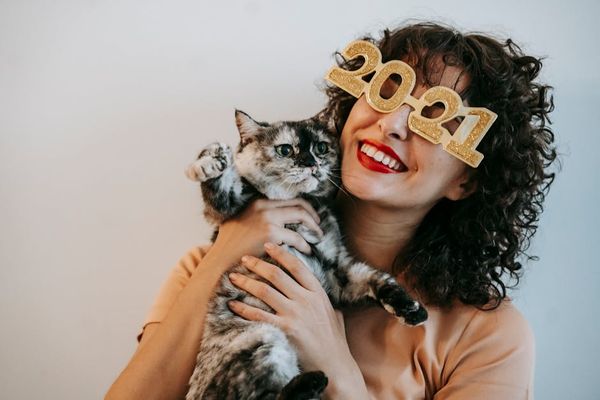 מומחה לימי אימוץ חתולים: תכנית ההצלה שלי